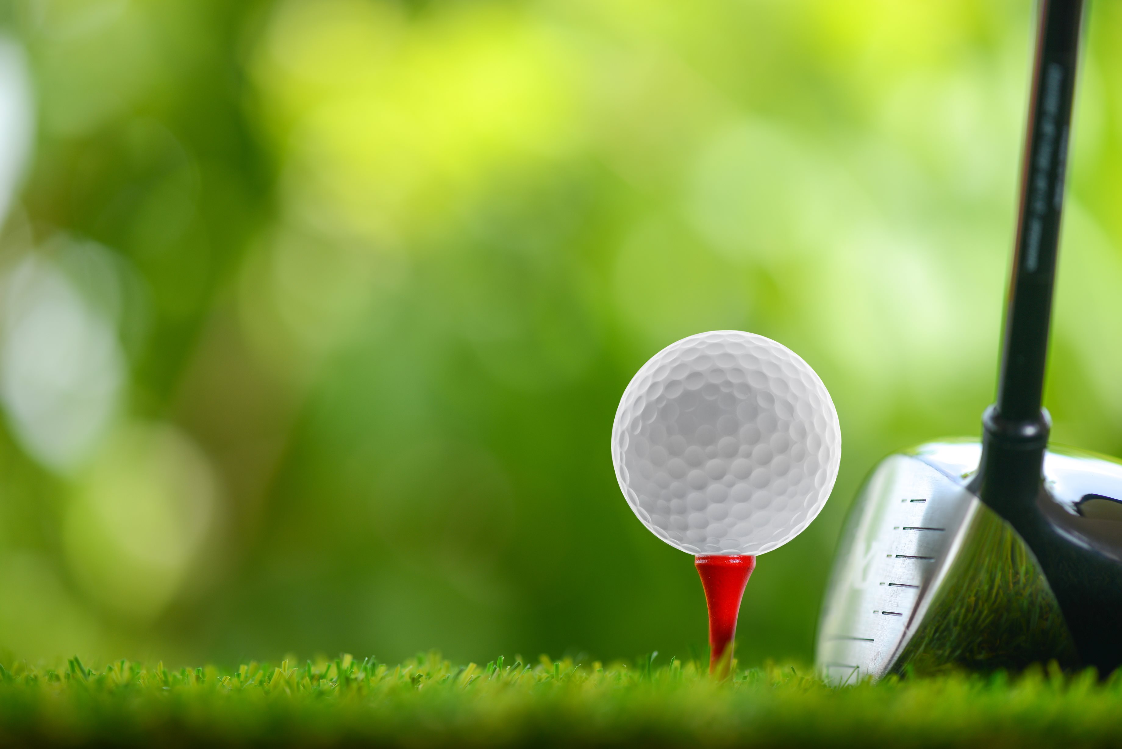 New Community Shelter's Golf Outing
